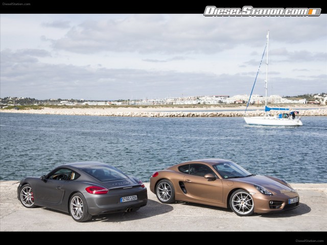 Porsche Cayman 2014 Picture #68 Porsche Cayman 2014 Picture #68