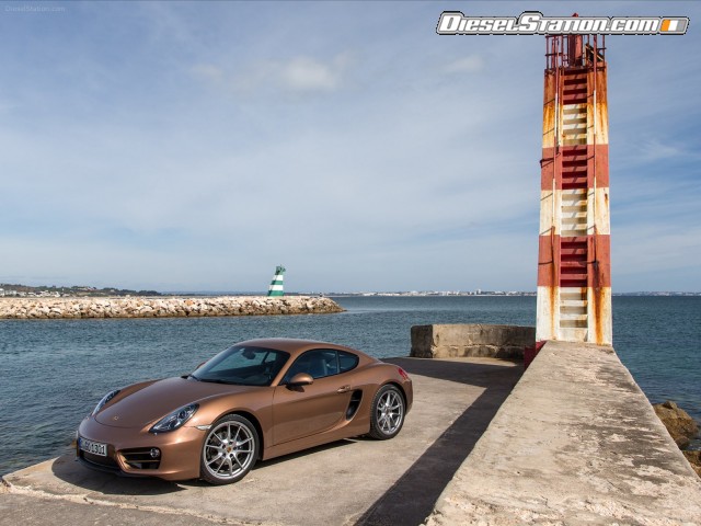 Porsche Cayman 2014 Picture #67 Porsche Cayman 2014 Picture #67