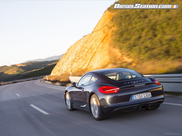 Porsche Cayman 2014 Picture #56 Porsche Cayman 2014 Picture #56