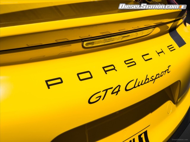 Porsche Cayman GT4 Clubsport 2016 Picture #8 Porsche Cayman GT4 Clubsport 2016 Picture #8