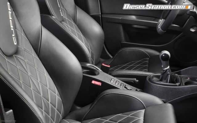 Seat 2010 Leon Cupra Widescreen Picture #6 Seat 2010 Leon Cupra Widescreen Picture #6