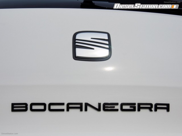 Seat Ibiza Cupra Bocanegra 2012 Picture #9 Seat Ibiza Cupra Bocanegra 2012 Picture #9