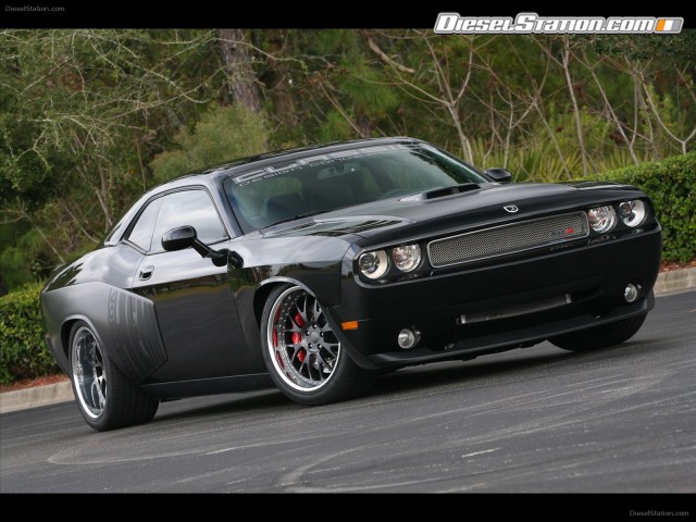 Shelby 1000 2012 Picture #7 Shelby 1000 2012 Picture #7