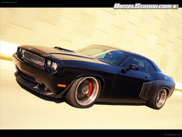 Shelby 1000 2012 Picture #15 Shelby 1000 2012 Picture #15