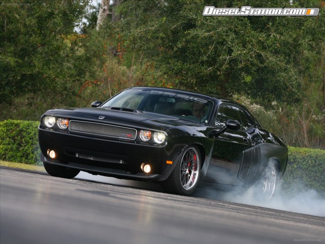 Shelby 1000 2012 Picture #11 Shelby 1000 2012 Picture #11