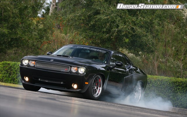 Shelby 1000 2012 Widescreen Picture #30 Shelby 1000 2012 Widescreen Picture #30