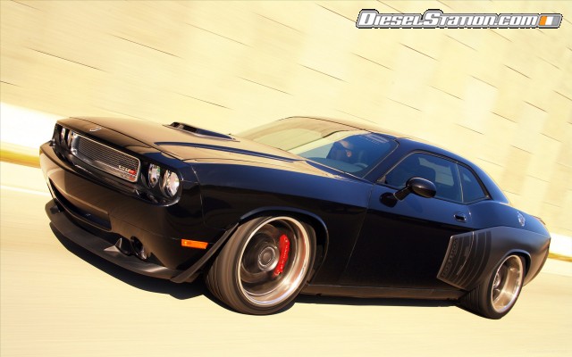 Shelby 1000 2012 Widescreen Picture #17 Shelby 1000 2012 Widescreen Picture #17