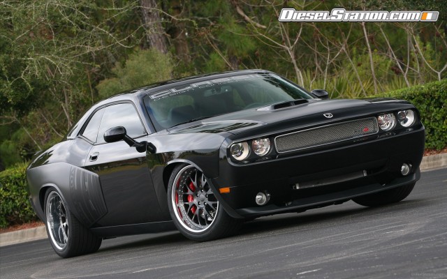 Shelby 1000 2012 Widescreen Picture #16 Shelby 1000 2012 Widescreen Picture #16