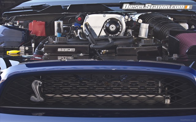 Shelby 1000 2012 Widescreen Picture #18 Shelby 1000 2012 Widescreen Picture #18