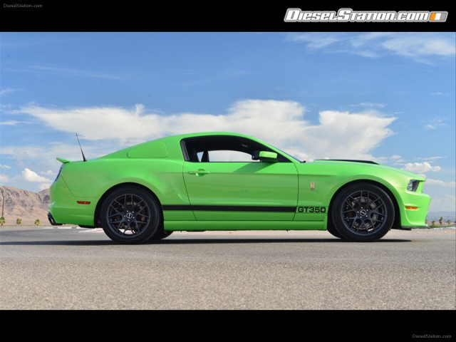 Shelby GT350 2013 Picture #0 Shelby GT350 2013 Picture #0