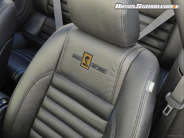 Shelby GT350 2013 Picture #16 Shelby GT350 2013 Picture #16