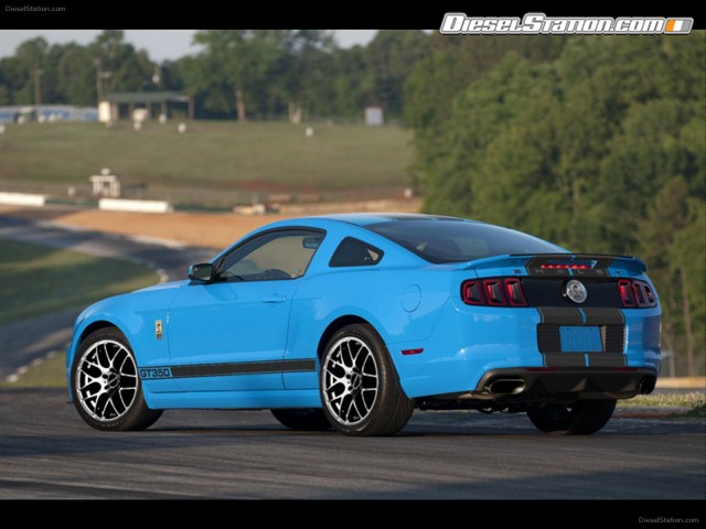 Shelby GT350 2013 Picture #13 Shelby GT350 2013 Picture #13