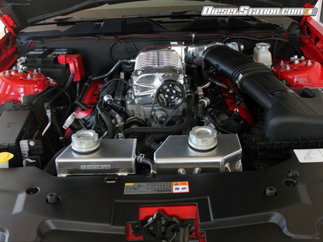 Shelby GT350 2013 Picture #10 Shelby GT350 2013 Picture #10