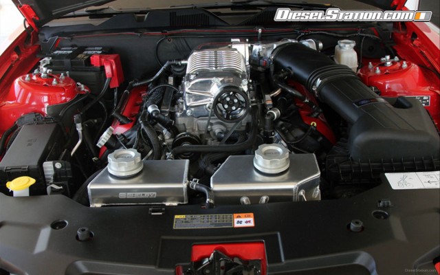 Shelby GT350 2013 Widescreen Picture #2 Shelby GT350 2013 Widescreen Picture #2