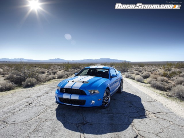 Shelby GT500 2010 Picture #16 Shelby GT500 2010 Picture #16