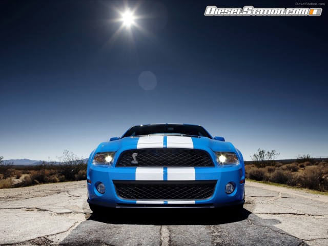 Shelby GT500 2010 Picture #4 Shelby GT500 2010 Picture #4