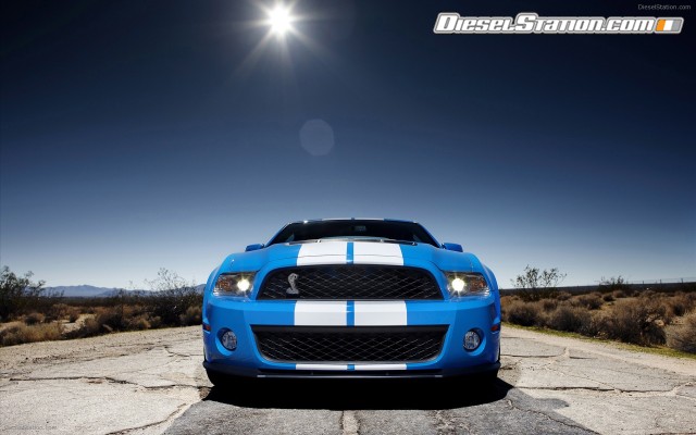 Shelby GT500 2010 Widescreen Picture #11 Shelby GT500 2010 Widescreen Picture #11