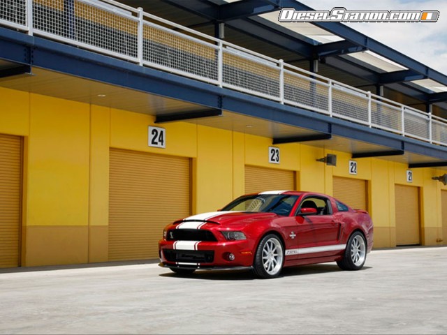 Shelby GT500 Super Snake 2013 Picture #3 Shelby GT500 Super Snake 2013 Picture #3