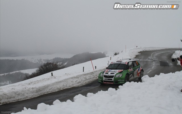 Skoda Fabia S2000 Widescreen Picture #10 Skoda Fabia S2000 Widescreen Picture #10