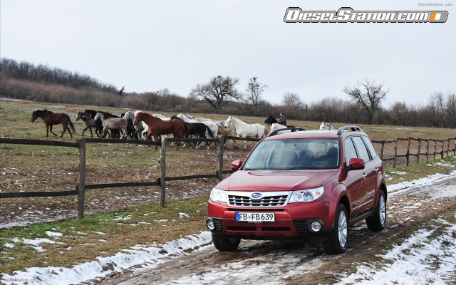 Subaru Forester 2011 Widescreen Picture #14 Subaru Forester 2011 Widescreen Picture #14