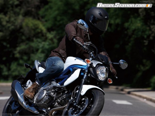 Suzuki 2009 Gladius Picture #6 Suzuki 2009 Gladius Picture #6