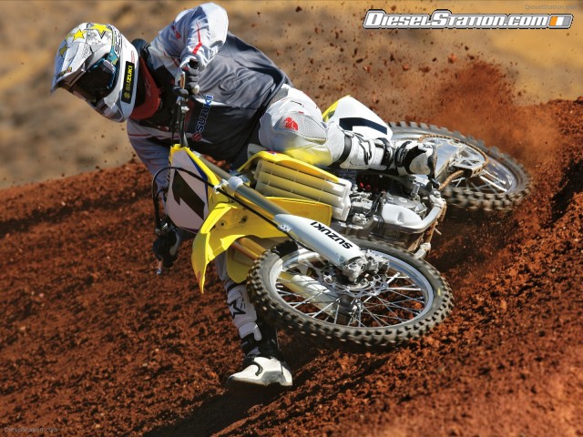 Suzuki 2009 RM Z450 Picture #17 Suzuki 2009 RM Z450 Picture #17