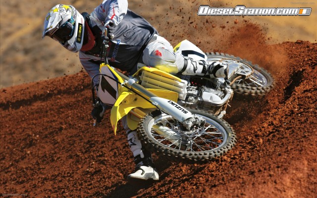 Suzuki 2009 RM Z450 Widescreen Picture #11 Suzuki 2009 RM Z450 Widescreen Picture #11