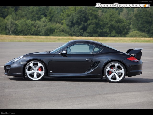 Techart 2010 Porsche Cayman Picture #16 Techart 2010 Porsche Cayman Picture #16