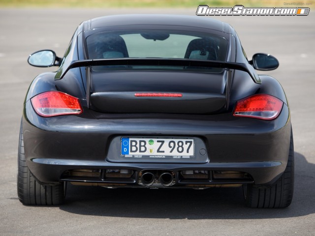 Techart 2010 Porsche Cayman Picture #0 Techart 2010 Porsche Cayman Picture #0