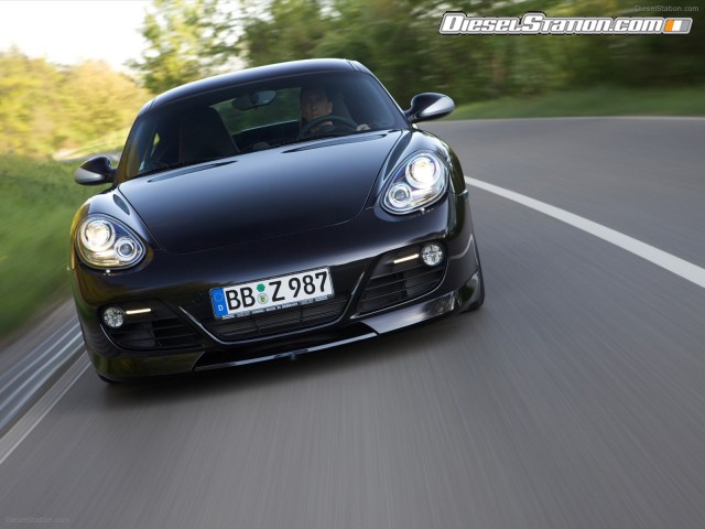 Techart 2010 Porsche Cayman Picture #18 Techart 2010 Porsche Cayman Picture #18