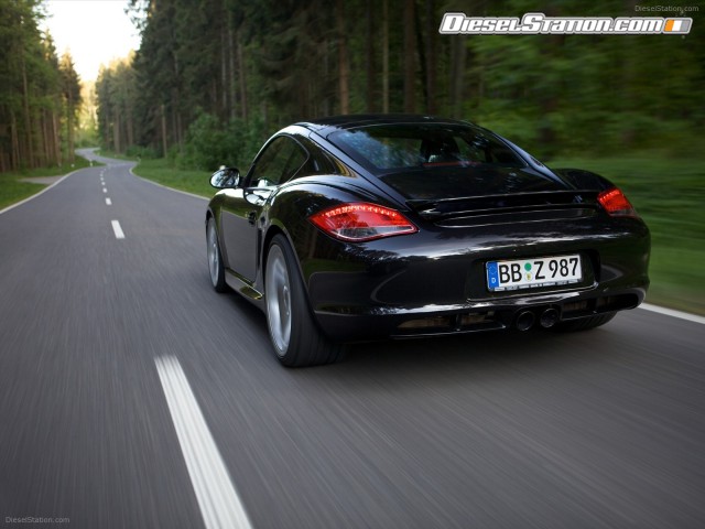 Techart 2010 Porsche Cayman Picture #2 Techart 2010 Porsche Cayman Picture #2