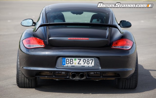 Techart 2010 Porsche Cayman Widescreen Picture #15 Techart 2010 Porsche Cayman Widescreen Picture #15