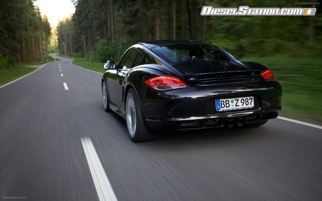 Techart 2010 Porsche Cayman Widescreen Picture #13 Techart 2010 Porsche Cayman Widescreen Picture #13