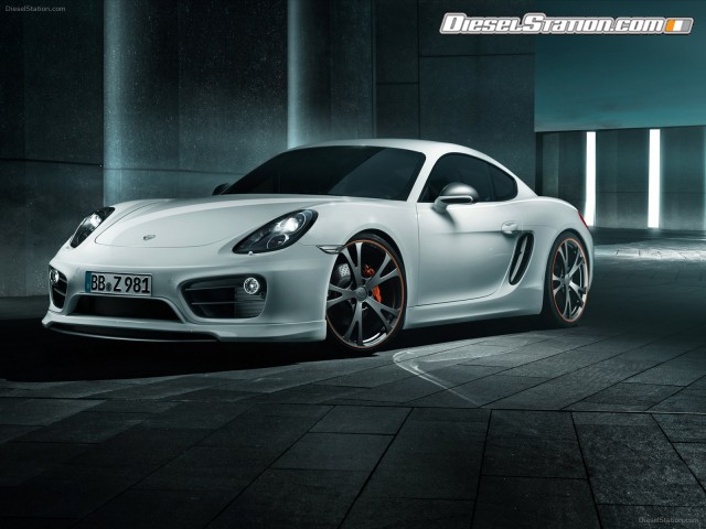 Techart Porsche Cayman 2013 Picture #5 Techart Porsche Cayman 2013 Picture #5