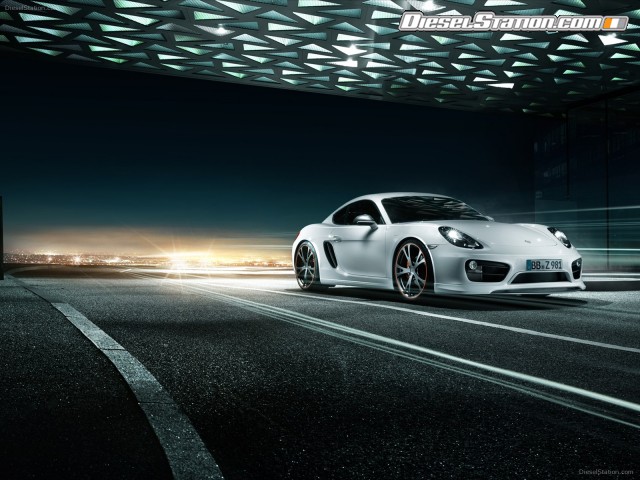 Techart Porsche Cayman 2013 Picture #2 Techart Porsche Cayman 2013 Picture #2