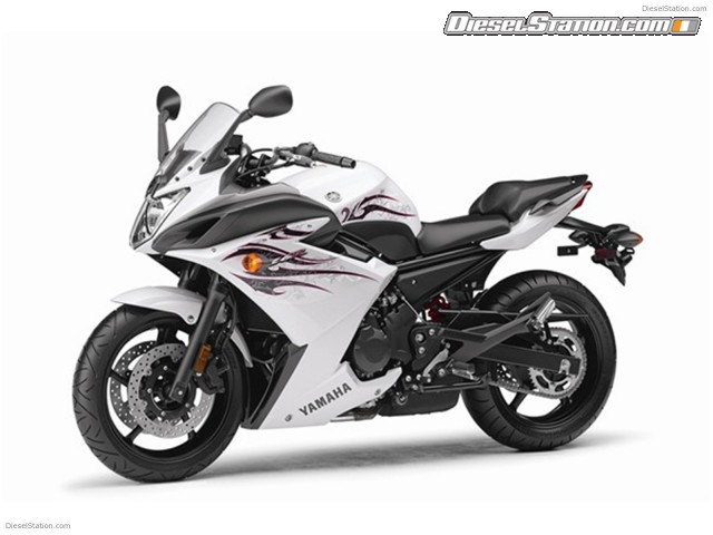 Yamaha 2009 FZ6R Picture #17 Yamaha 2009 FZ6R Picture #17