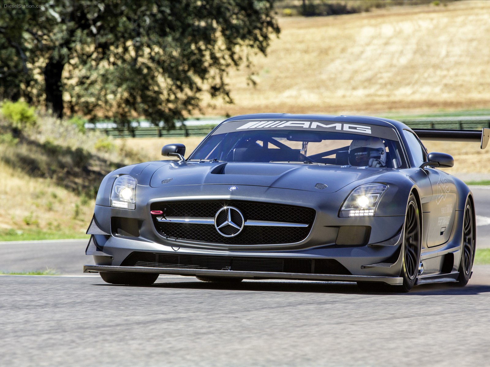 Mercedes-Benz SLS AMG GT3 45Th Anniversary 2013 Mercedes-Benz SLS AMG GT3 45Th Anniversary 2013