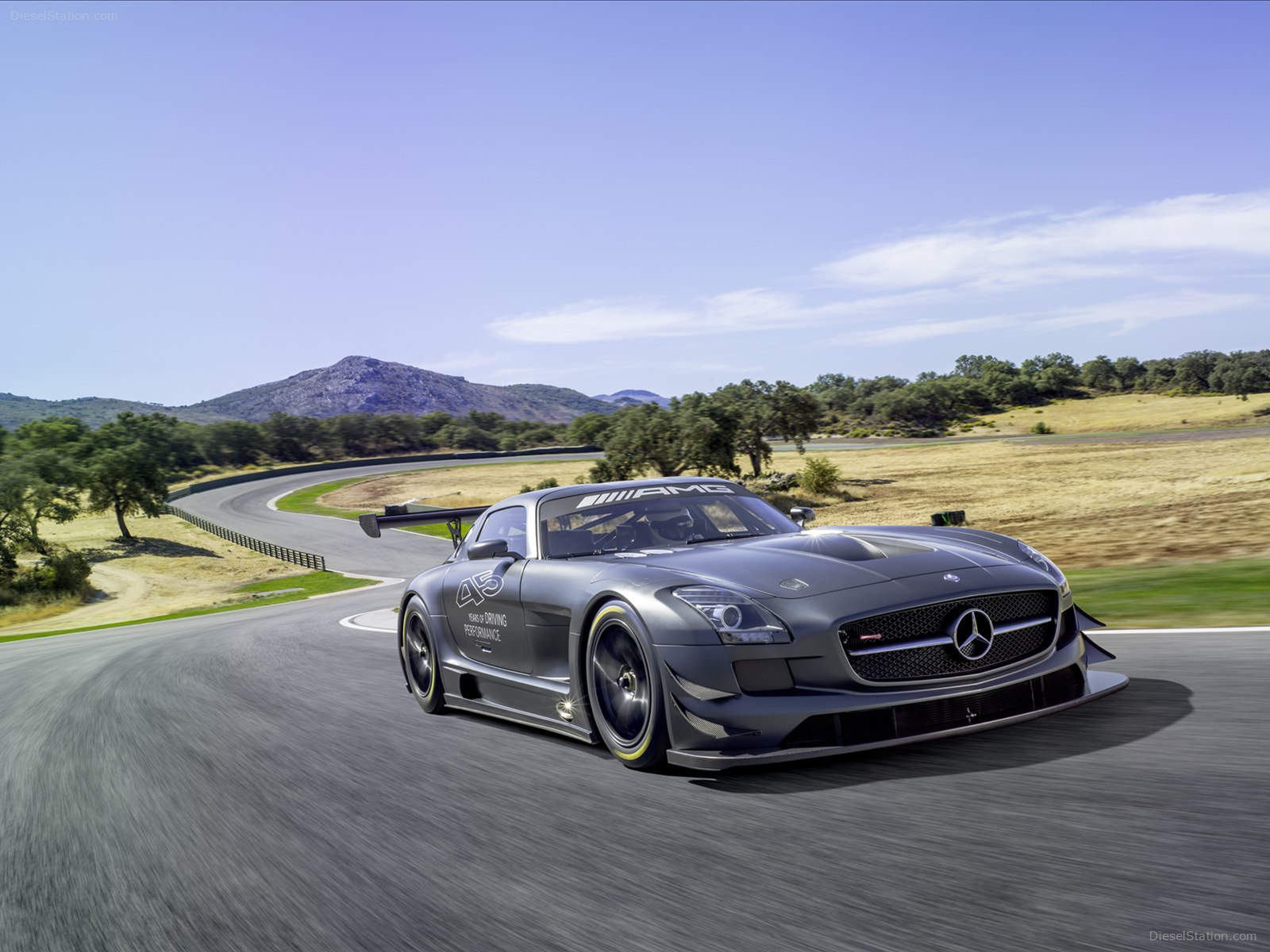 Mercedes-Benz SLS AMG GT3 45Th Anniversary 2013 Mercedes-Benz SLS AMG GT3 45Th Anniversary 2013