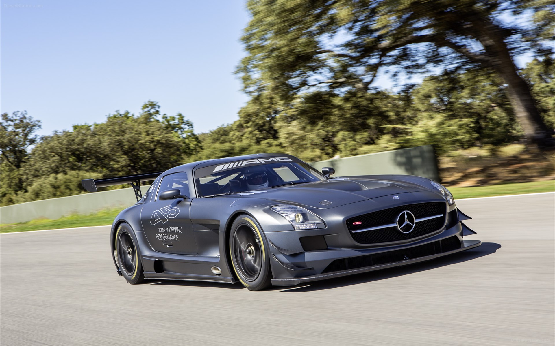 Mercedes-Benz SLS AMG GT3 45Th Anniversary 2013 Mercedes-Benz SLS AMG GT3 45Th Anniversary 2013