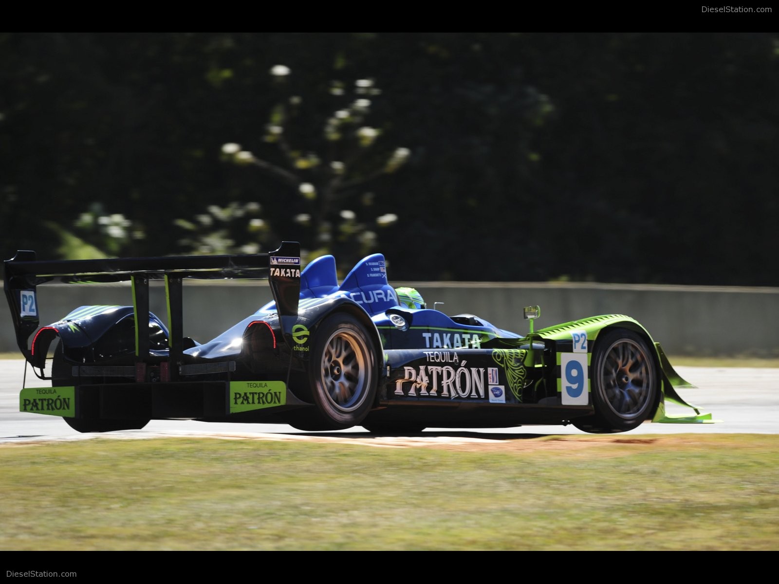2008 ALMS Petit Le Mans Pictures