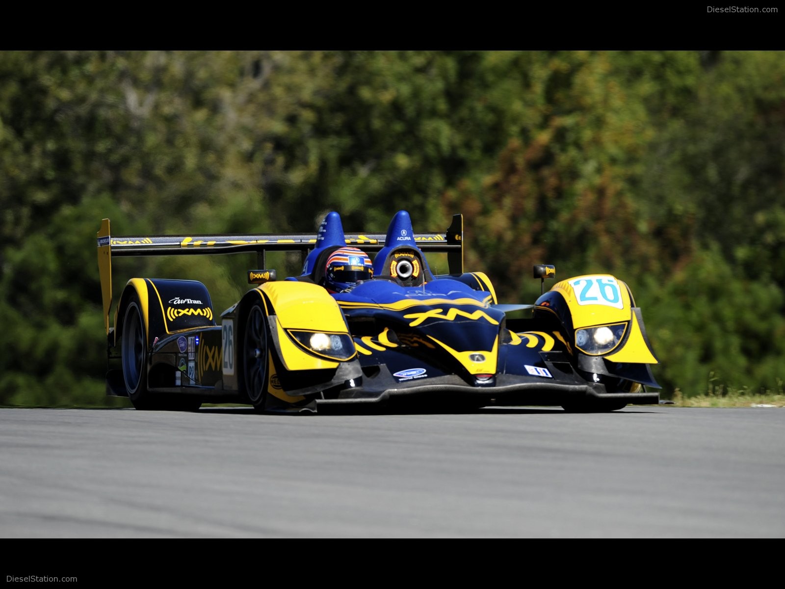 2008 ALMS Petit Le Mans Pictures
