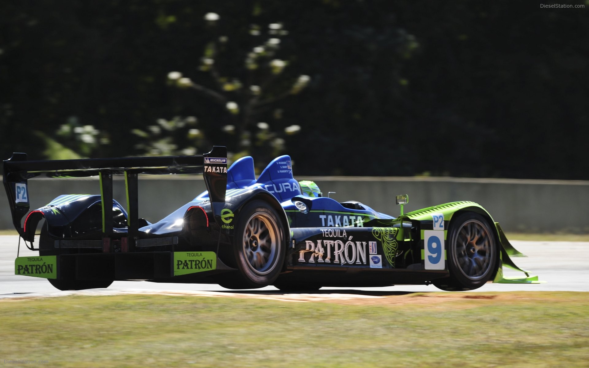 2008 ALMS Petit Le Mans Pictures