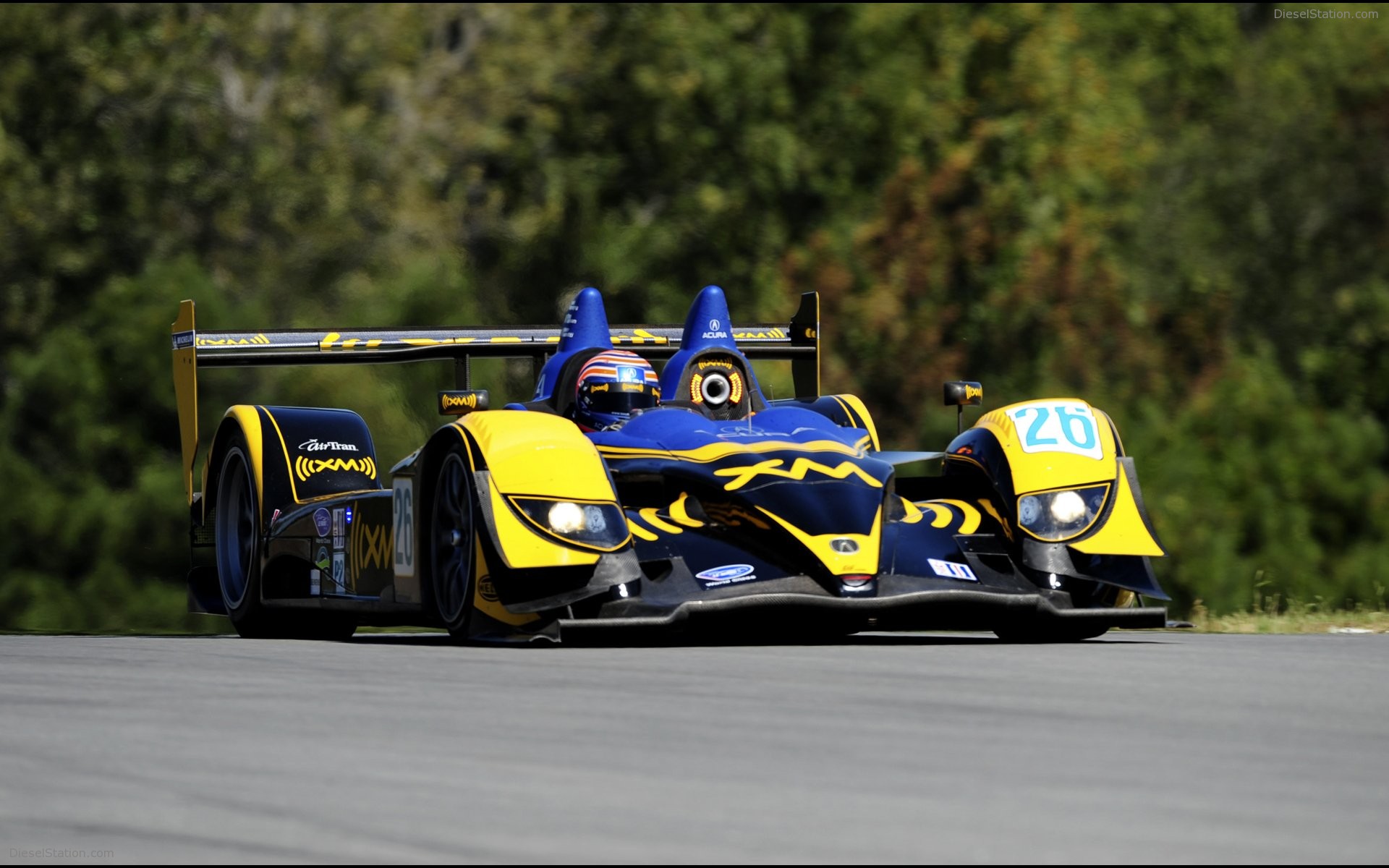 2008 ALMS Petit Le Mans Pictures