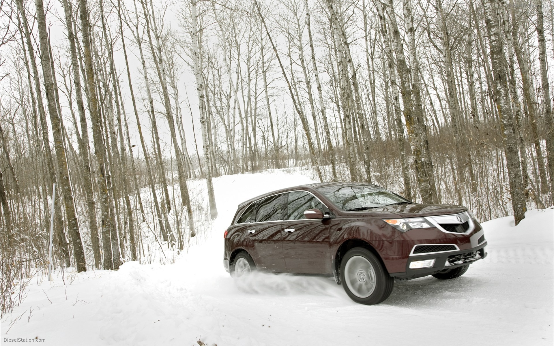 Acura MDX snow 2011