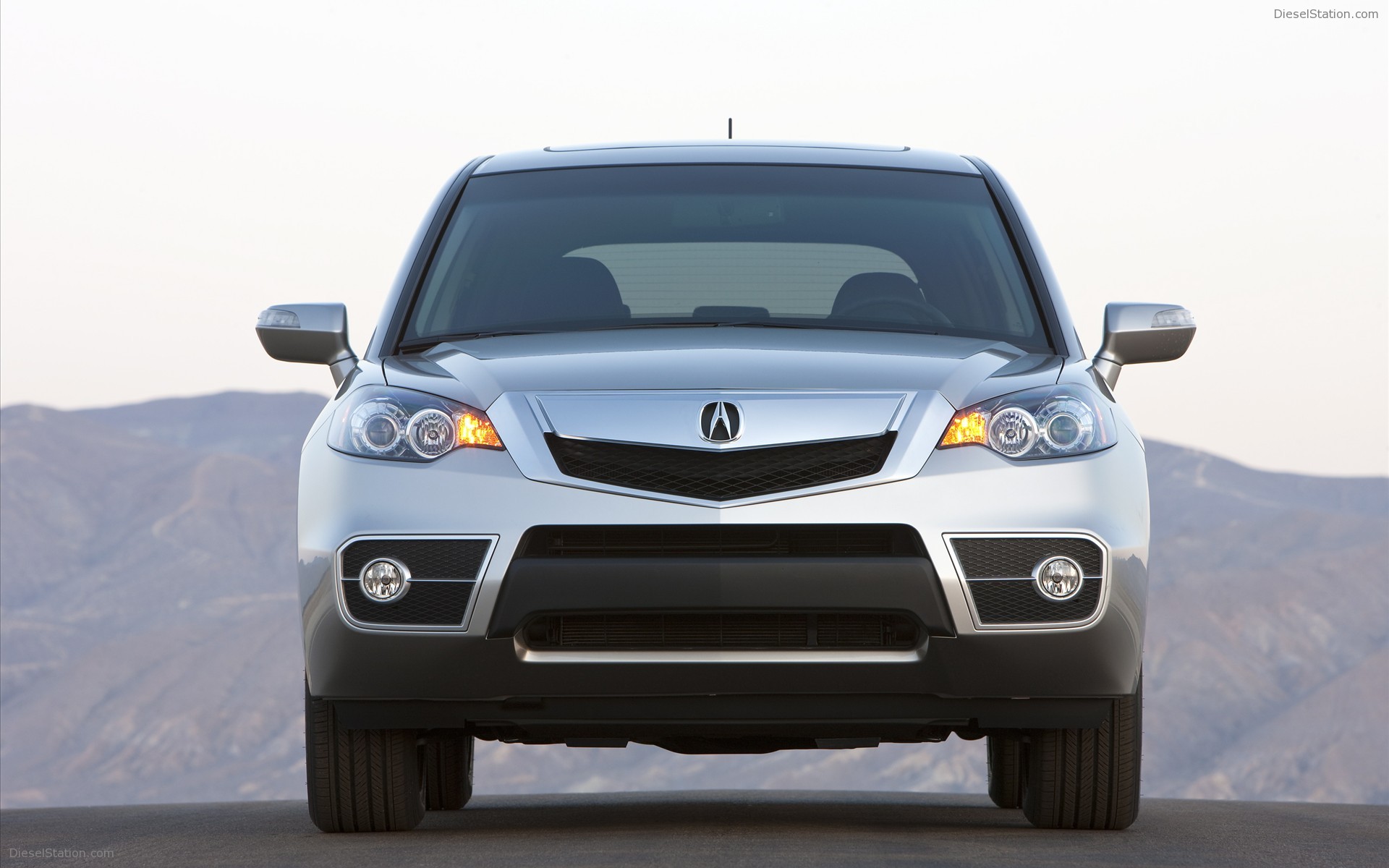2010 Acura RDX