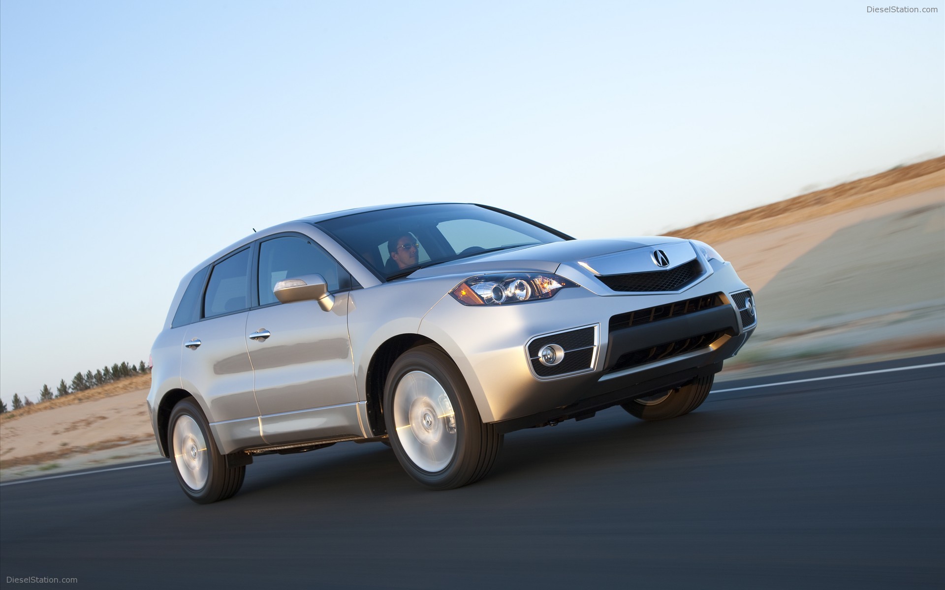 2010 Acura RDX