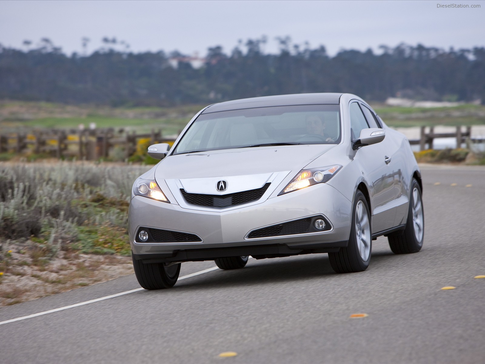 Acura ZDX(2010)