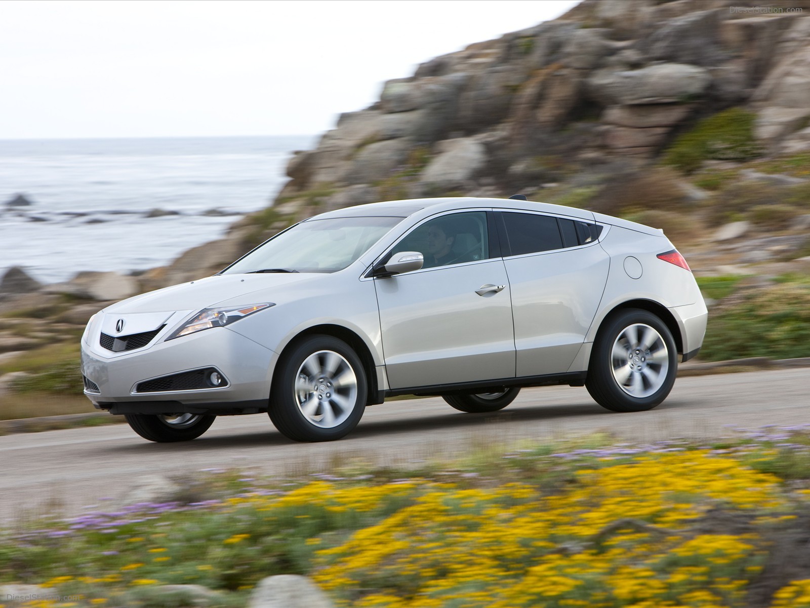 Acura ZDX(2010)