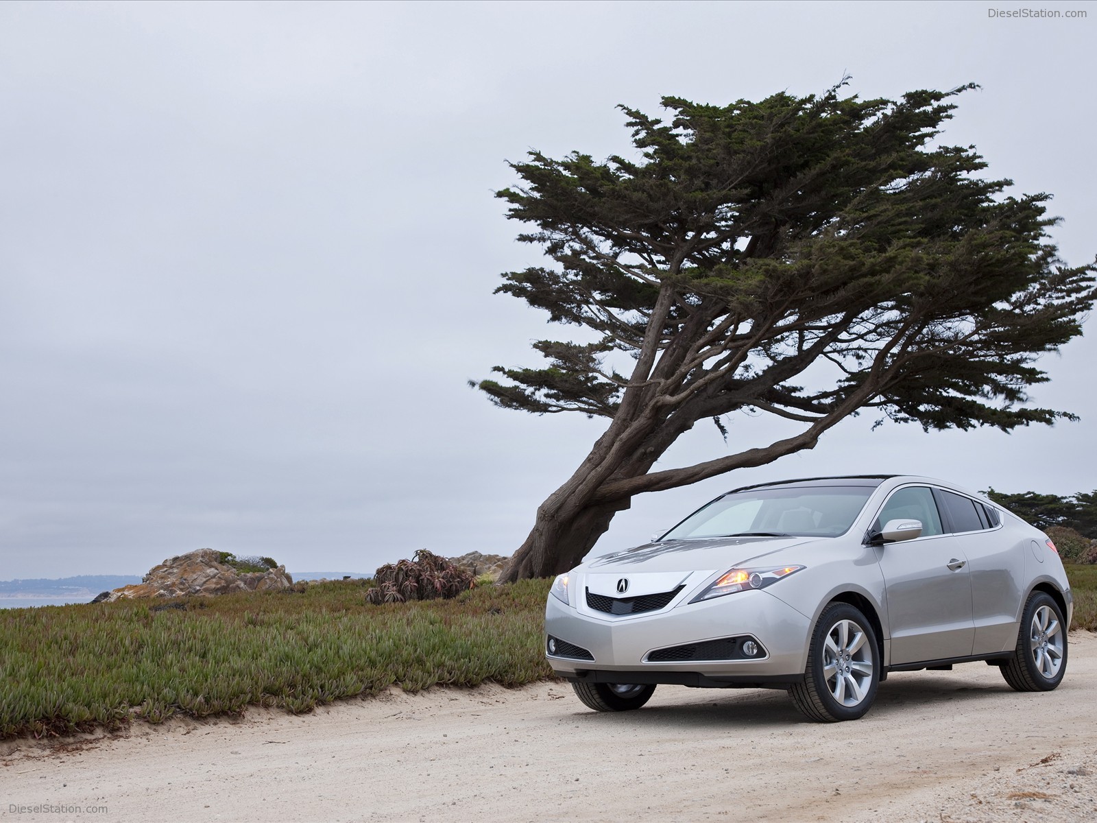 Acura ZDX(2010)