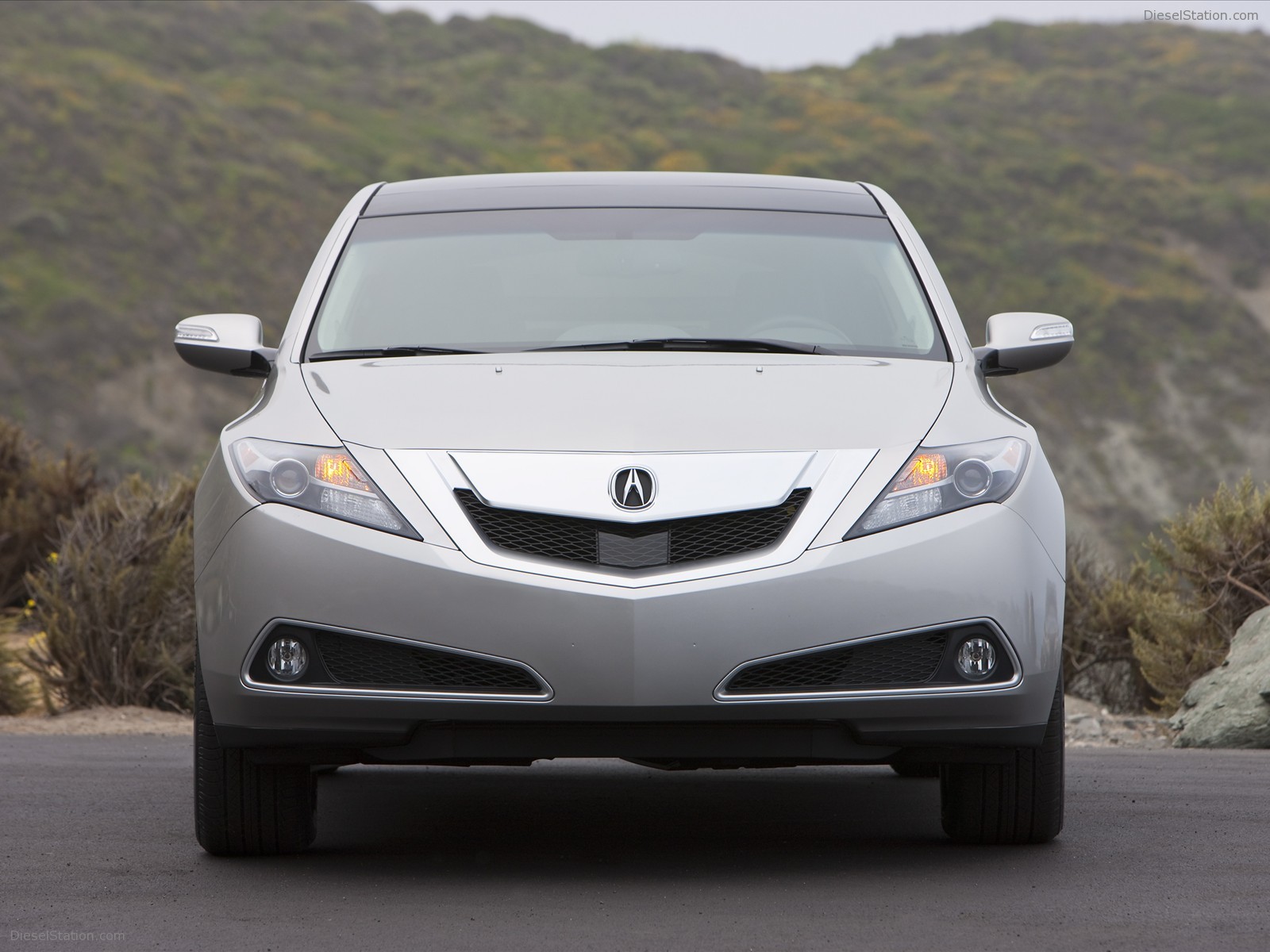 Acura ZDX(2010)